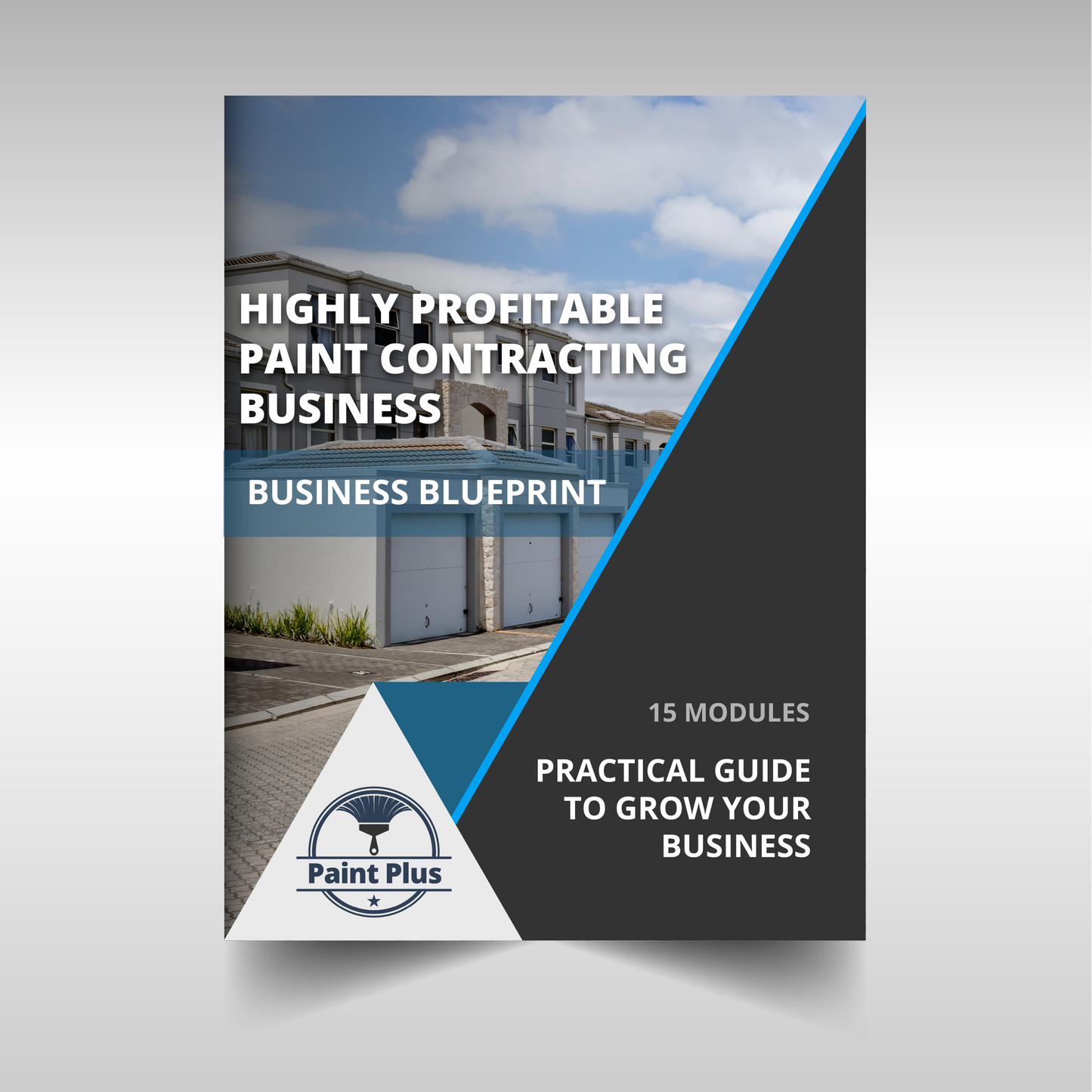 Highly Profitable Paint Contracting Business E-Book